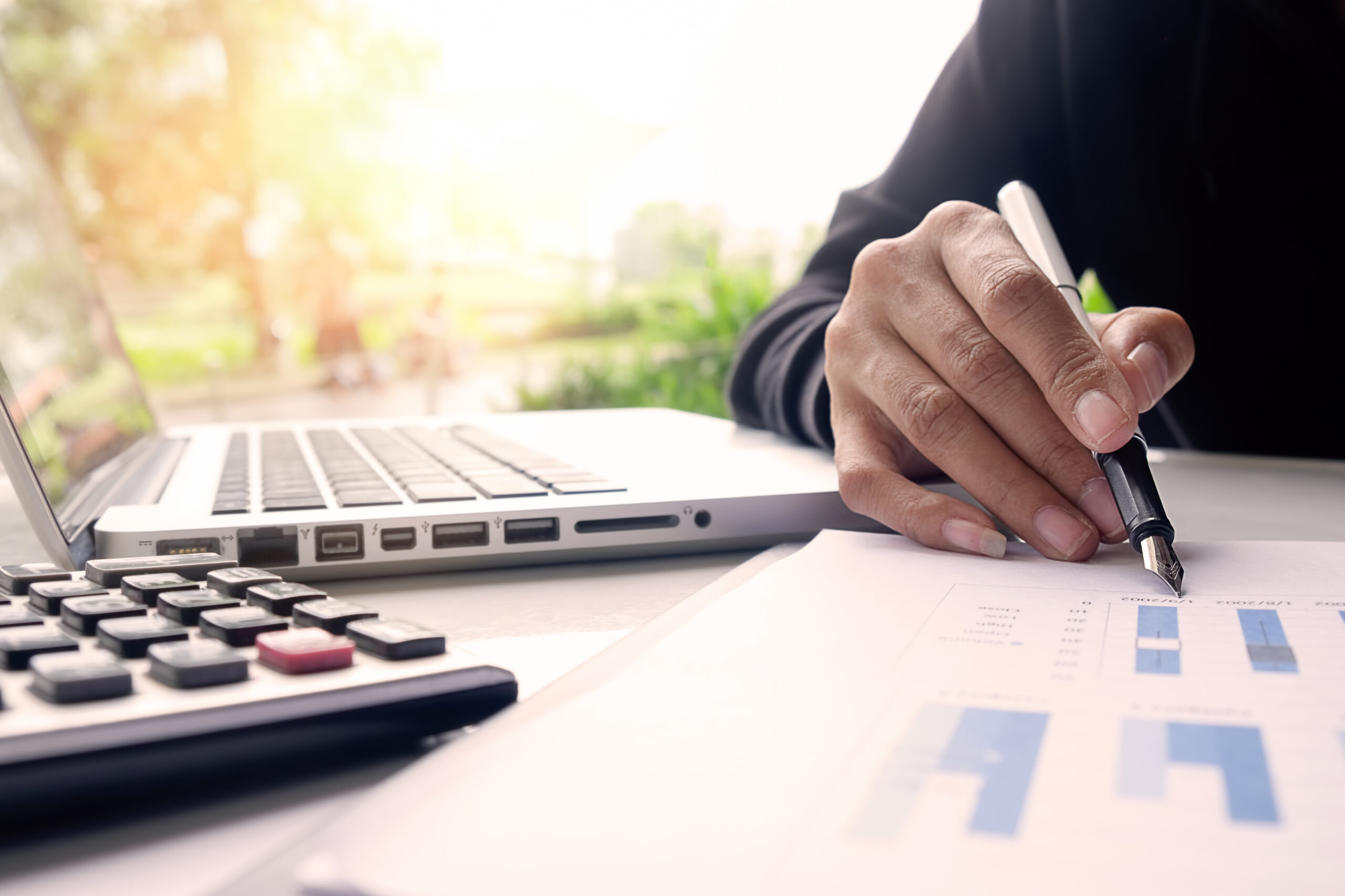 Chartered Accountant